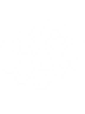shape